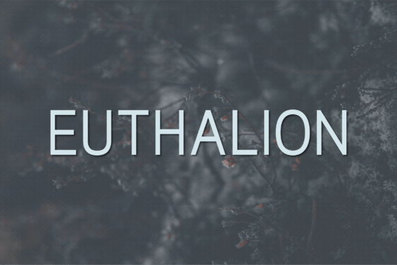 Discover Euthalion: A Modern Sans Serif Font for Branding Projects