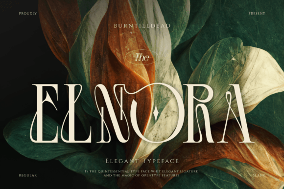 Elnora: The Premium Serif Typeface for Elegant Web Design