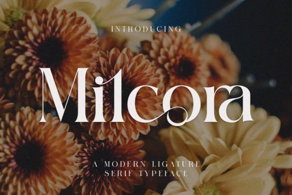Milcora Serif Font for Modern Campaigns