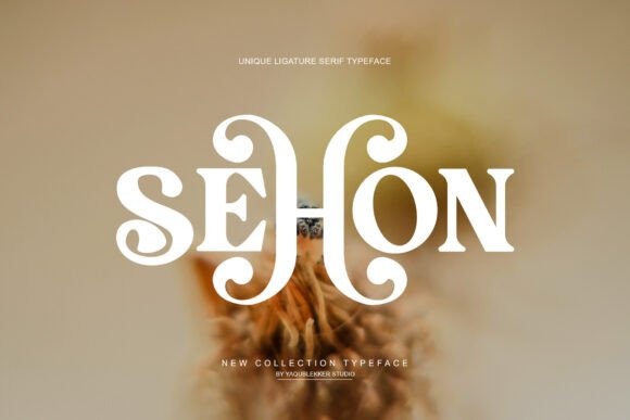 Sehon Serif Font for Handmade Creations