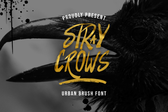 Stray Crows: A Stylish Display Font for Web Design